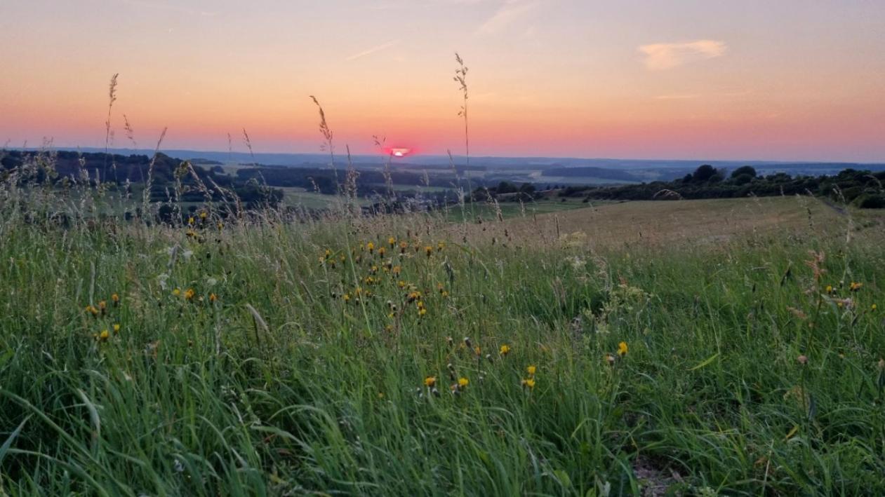 Ferienwohnung Eifelweh - Lieblingszeit Berndorf  Екстер'єр фото